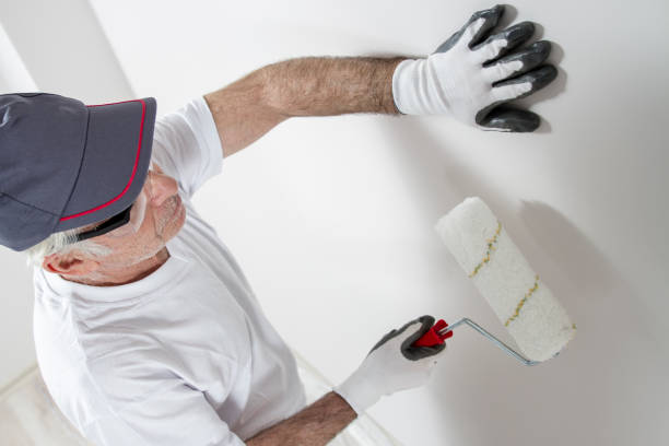 Best Mold Odor Removal Services  in Shelley, ID