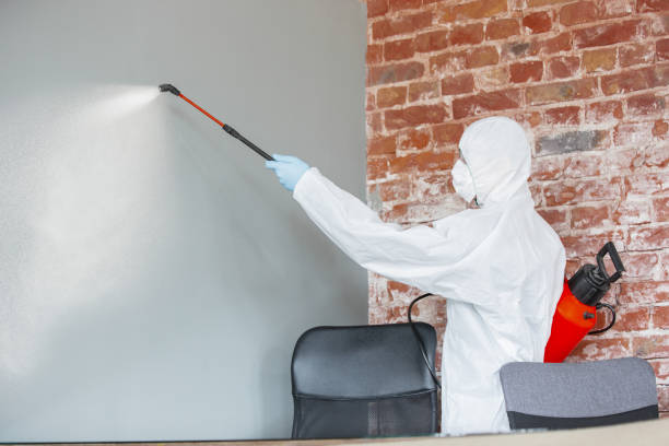 Best Asbestos and Lead Testing During Mold Inspection  in Shelley, ID