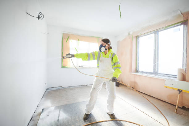 Best Mold Odor Removal Services  in Shelley, ID