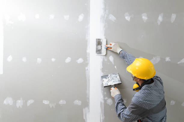 Best Mold Damage Restoration  in Shelley, ID