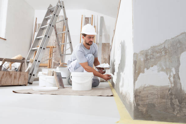 Best Mold Remediation for Vacation Homes  in Shelley, ID