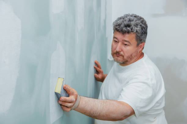Forensic Mold Investigation in Shelley, ID