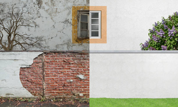 Best Environmental Consulting for Mold Prevention  in Shelley, ID