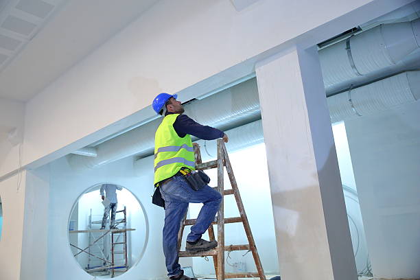 Reliable Shelley, ID Mold Removal Solutions