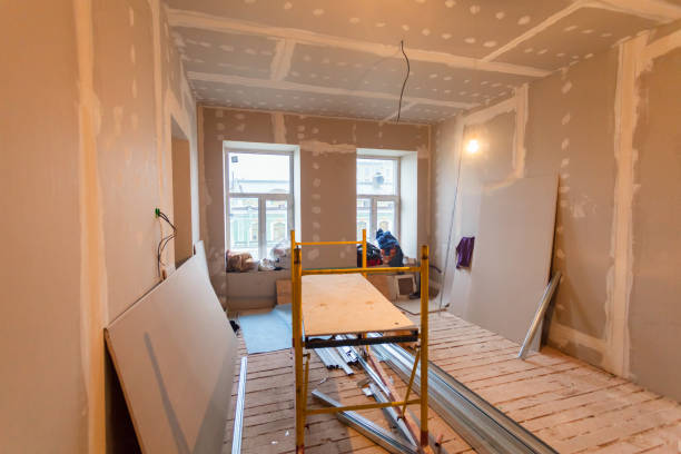 Best Forensic Mold Investigation  in Shelley, ID